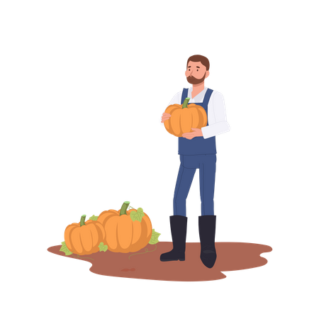 Male farmer holding ripe pumpkin during harvesting in autumn  Illustration