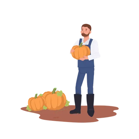 Male farmer holding ripe pumpkin during harvesting in autumn  Illustration