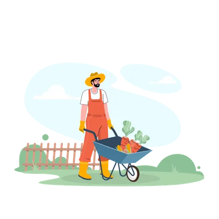 Male farmer holding wheelbarrow with vegetables  Illustration