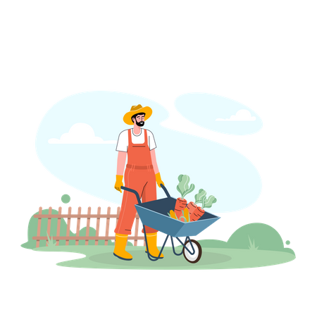 Male farmer holding wheelbarrow with vegetables  Illustration