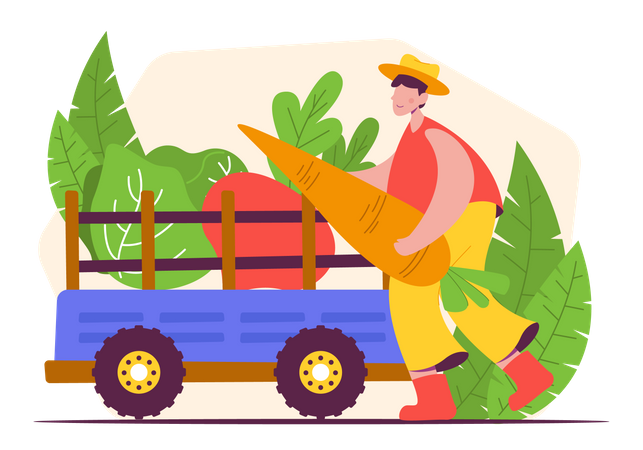 Male farmer  Illustration