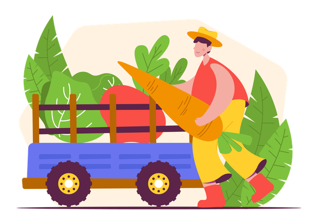 Male farmer  Illustration