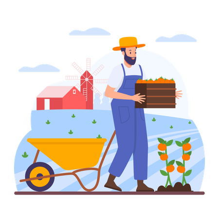 Male Farmer  Illustration