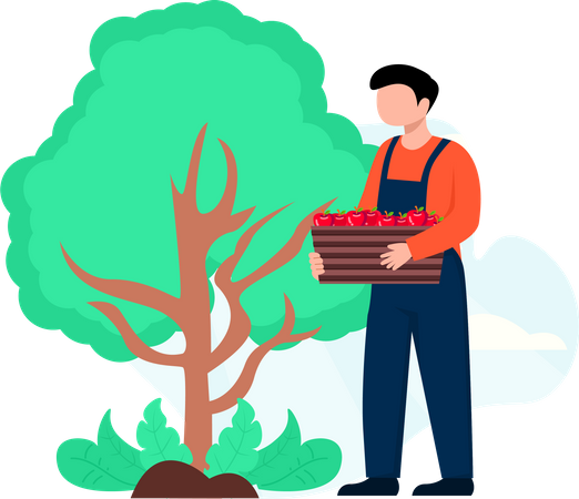 Male farmer  Illustration