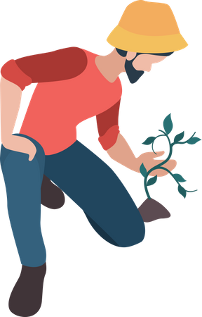 Male farmer planting crop  Illustration