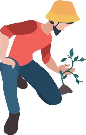 Male farmer planting crop  Illustration