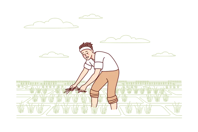 Male farmer planting crops Illustration