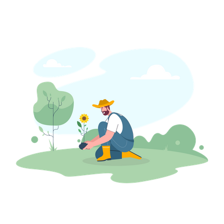 Male farmer planting sunflower plant  Illustration