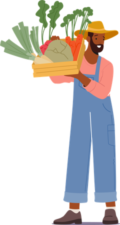 Male Farmer Proudly Cradles Wooden Crate Brimming With Freshly Harvested  Illustration