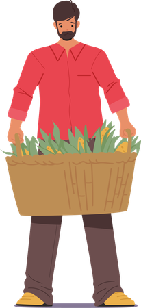 Male Farmer Proudly Holding Rustic Basket Overflowing With Freshly Harvested Golden Corn Cobs  イラスト