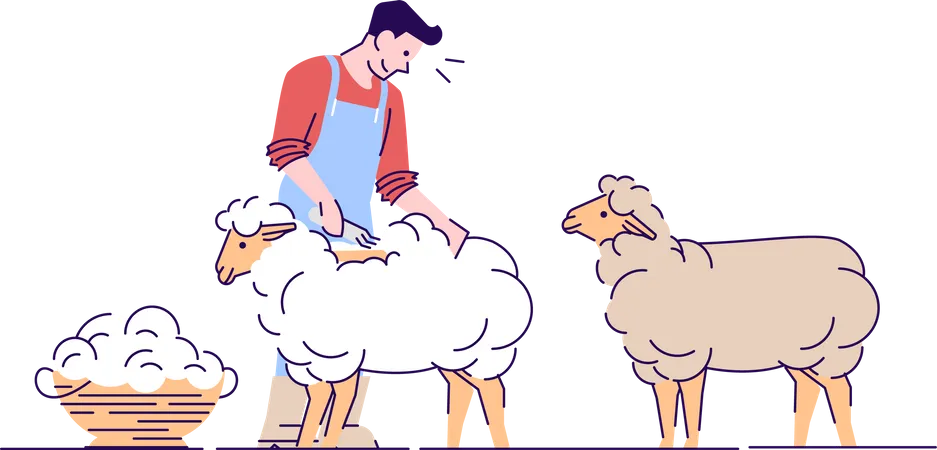 Male Farmer Shearing Sheep Flat Vector Character Wool Production Livestock Farming Domestic Animal Husbandry Isolated Cartoon Concept With Outline Shearer Farm Worker Cutting Merino Wool Illustration