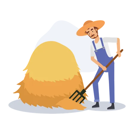 Male Farmer sweeping straw near haystack  Illustration