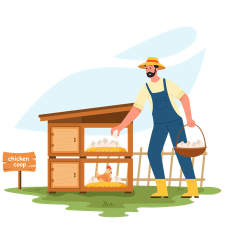 Male farmer Taking Chicken Eggs  Illustration