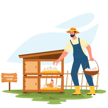 Male farmer Taking Chicken Eggs  Illustration