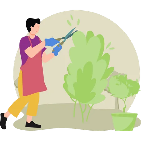 Male farmer trimming plants  Illustration