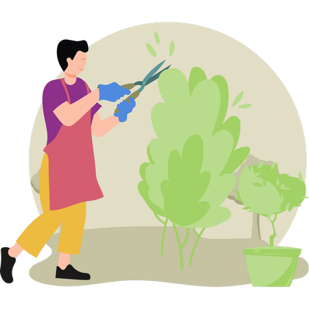 Male farmer trimming plants  Illustration