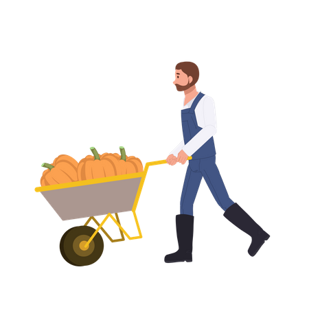 Male farmer with a cart of pumpkin  일러스트레이션