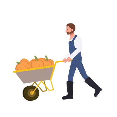 Man Farmer With A Cart Of Pumpkin Fresh Harvest Concept Flat Vector Cartoon Character Illustration Illustration