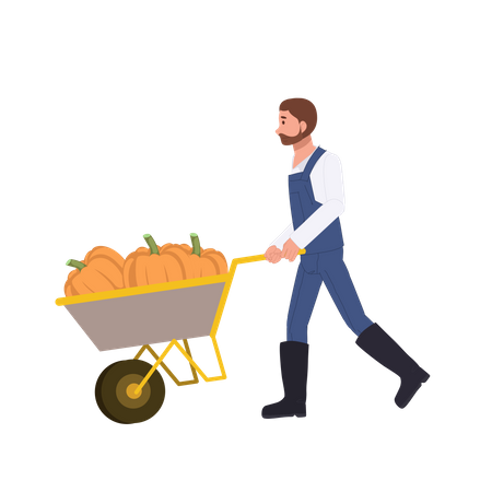 Male farmer with a cart of pumpkin  Illustration