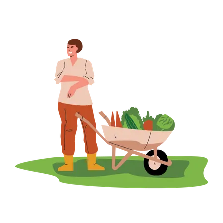 Male farmer with trolley  Illustration