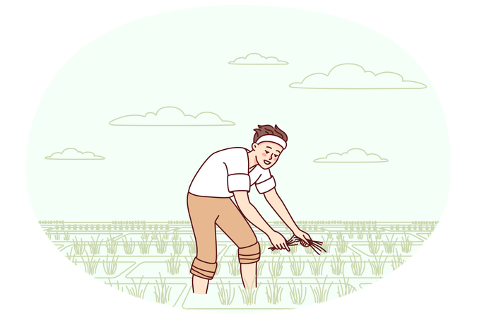 Male farmer working in field  Illustration