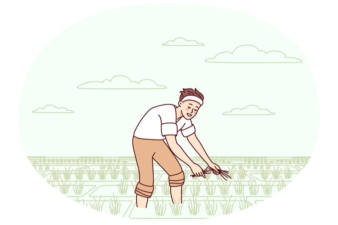 Male farmer working in field  Illustration