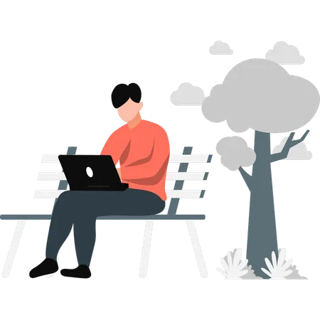 Male freelancer working on laptop in park  Illustration