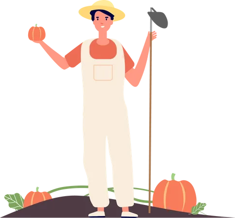 Male gardener holding shovel and pumpkin  Illustration