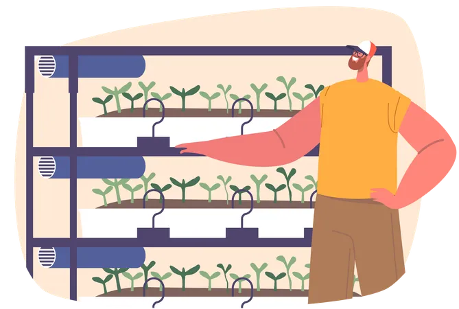 Male Character Growing Greenery Man Meticulously Tending To Shelves Of Vibrant Microgreens His Hands Nurture Tiny Plants Promising A Fresh And Healthy Harvest Cartoon People Vector Illustration Illustration