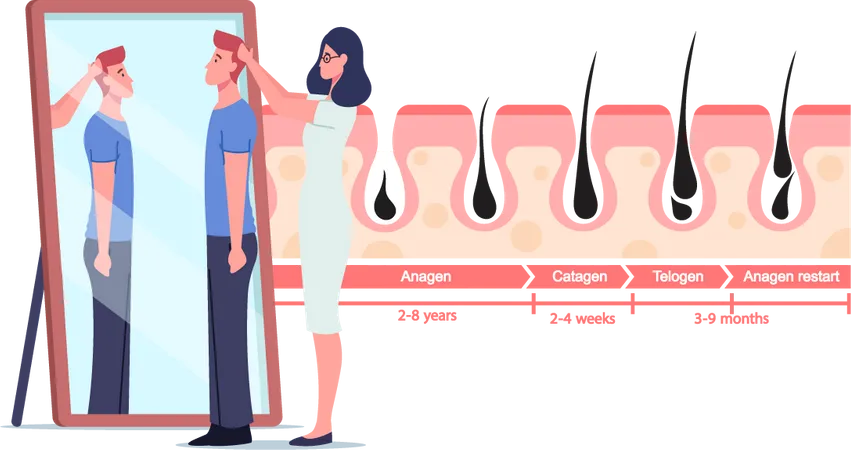 Male Hair growth patient Illustration