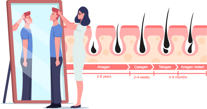 Male Hair growth patient  Illustration