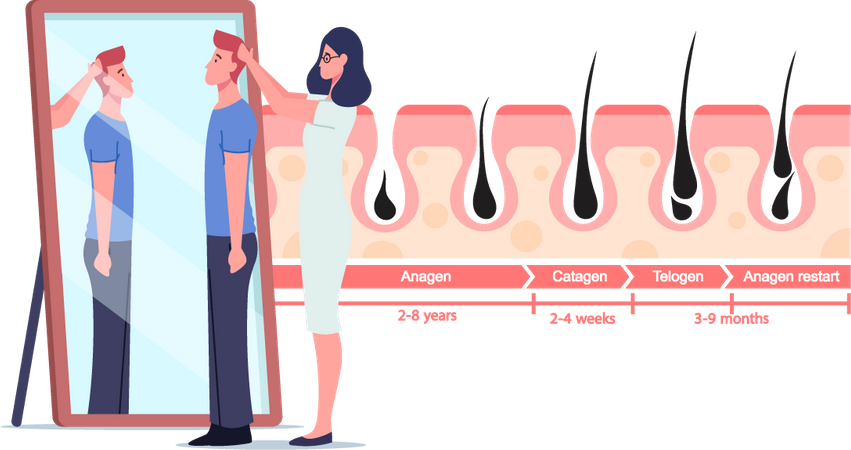 Male Hair growth patient  Illustration