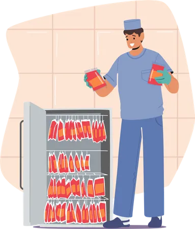 Male nurse put bloodbag into refrigerator  Illustration