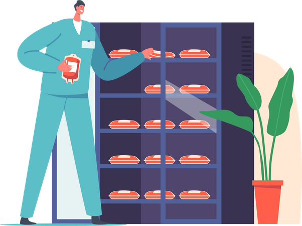 Male Nurse Putting Plastic Bags with Lifeblood into Refrigerator  Illustration