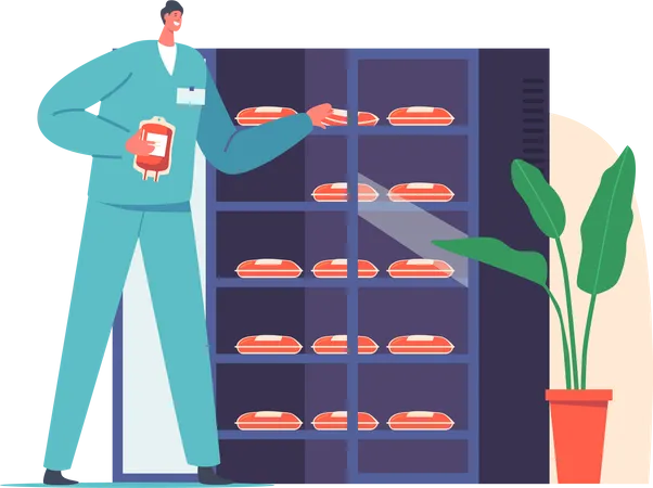 Male Nurse Putting Plastic Bags with Lifeblood into Refrigerator  Illustration