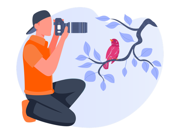 Male Photographer taking photo  Illustration
