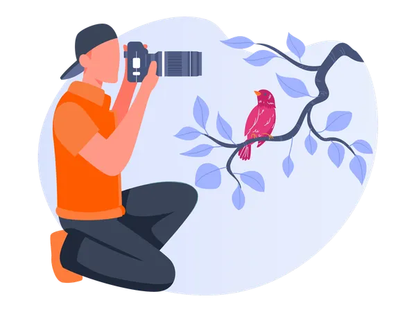 Male Photographer taking photo  Illustration