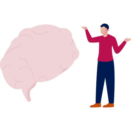Male  presenting human brain  Illustration