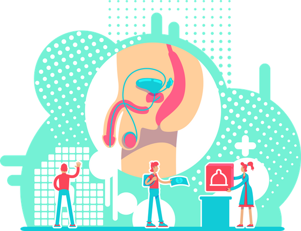 Male reproductive system health  イラスト