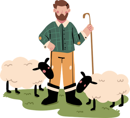 Male Shepherd with sheep Illustration