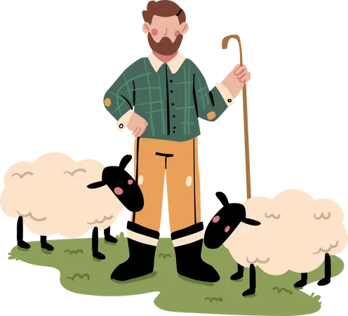Male Shepherd with sheep Illustration
