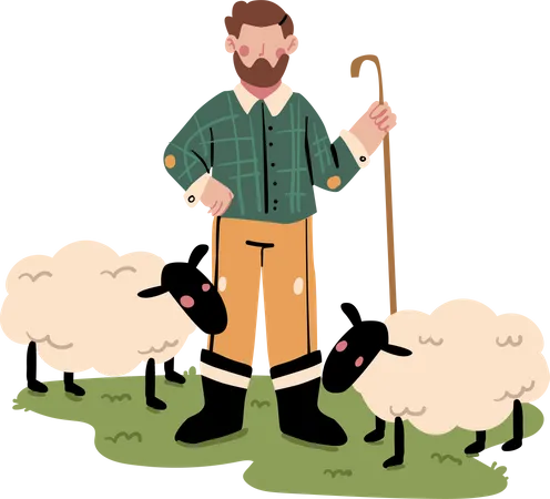 Male Shepherd with sheep  Illustration