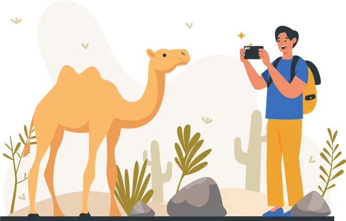 Male tourist photographing camels in wild  Illustration