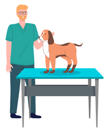 Male veterinarian doctor treat dog Illustration