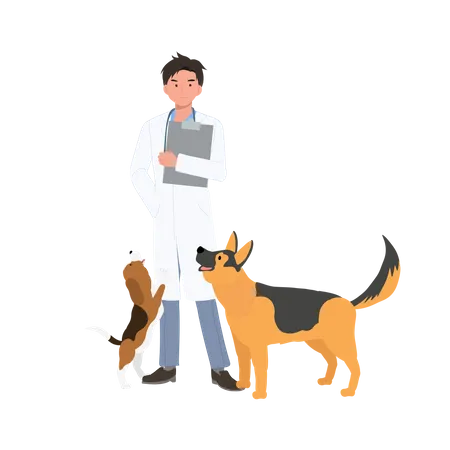 Full Length Of Male Veterinarian With Dogs Profession Veterinarian Man Vet With Dogs Flat Vector Cartoon Illustration Illustration