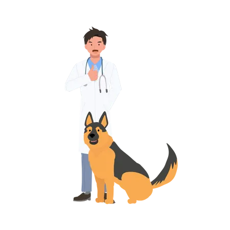 Full Length Of Male Veterinarian With Dogs Profession Veterinarian Showing Thumb Up As Good Service Man Vet With Dogs Flat Vector Cartoon Illustration Illustration
