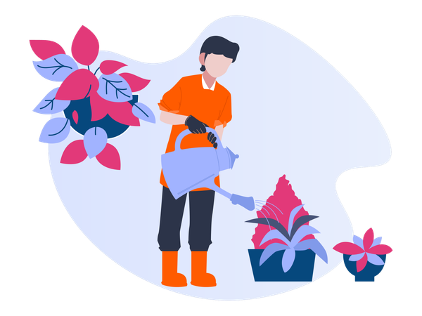 Male watering plant  Illustration