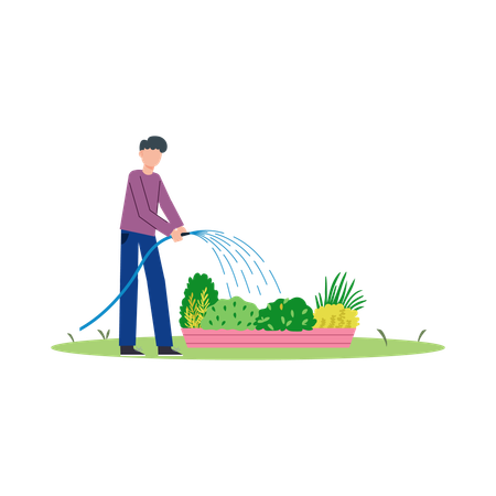 Male watering plants  Illustration