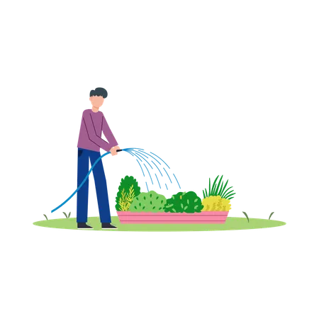 Male watering plants  Illustration