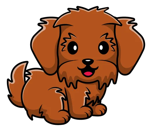 Maltipoo Dog Sitting  Illustration